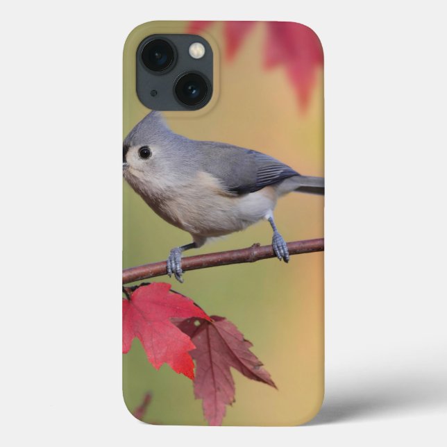 Tufted Titmice Case-Mate iPhone Case (Back)