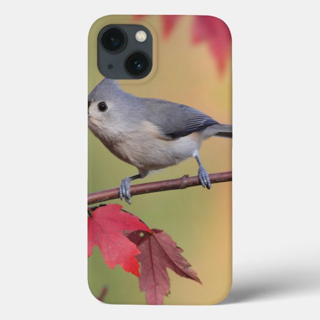 Tufted Titmice Case-Mate iPhone Case (Back)