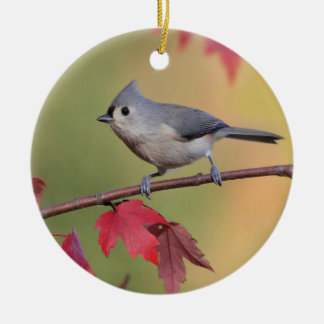 Tufted Titmice Ceramic Ornament