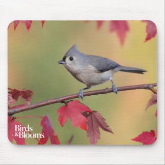 Tufted Titmice Mouse Pad