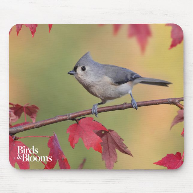 Tufted Titmice Mouse Pad (Front)
