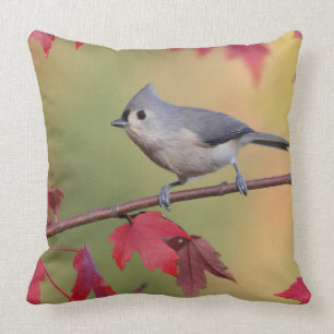 Tufted Titmice Throw Pillow