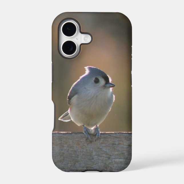 Tufted Titmouse (Back)