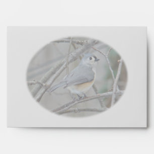 Tufted Titmouse (Baeolophus bicolor) Get Well Soon Envelope
