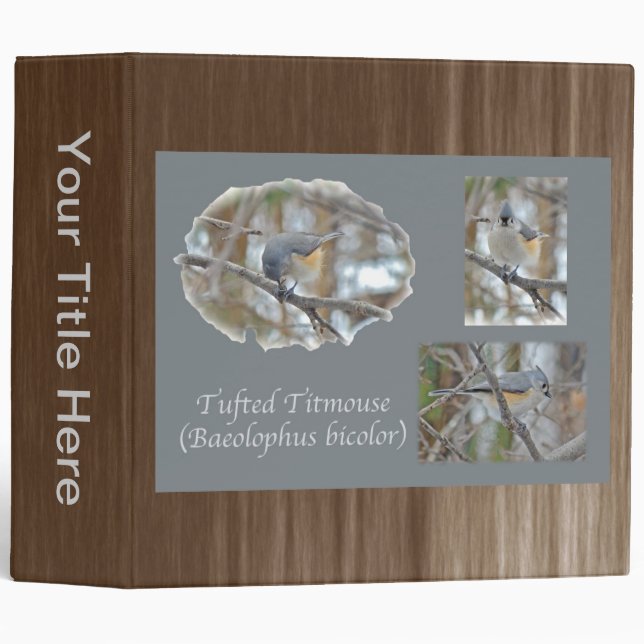 Tufted Titmouse (Baeolophus bicolor) Items Binder (Front/Spine)