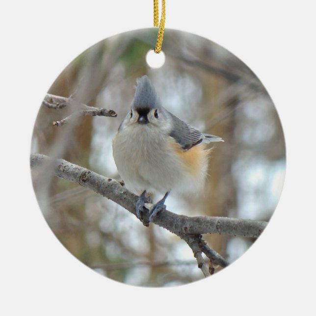 Tufted Titmouse (Baeolophus bicolor) Ornament (Front)