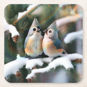 Tufted Titmouse Couple Square Paper Coaster