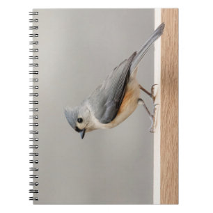 Tufted Titmouse Notebook