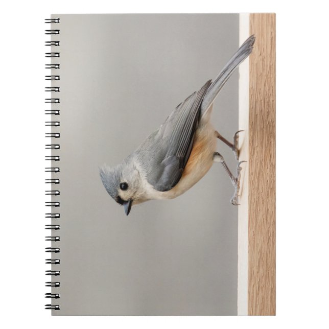 Tufted Titmouse Notebook (Front)
