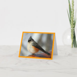 Tufted Titmouse Notecard