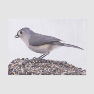 Tufted Titmouse On Bird Seed Tissue Paper