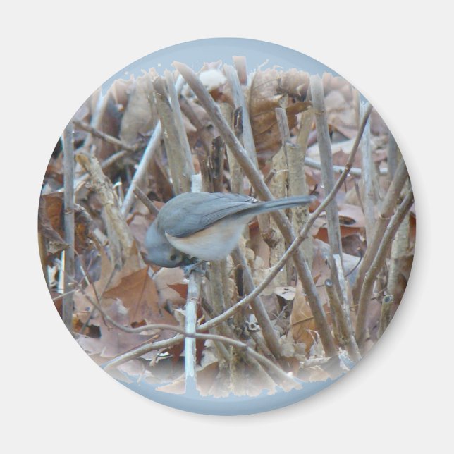 Tufted Titmouse Songbird Coordinating Items Magnet (Front)
