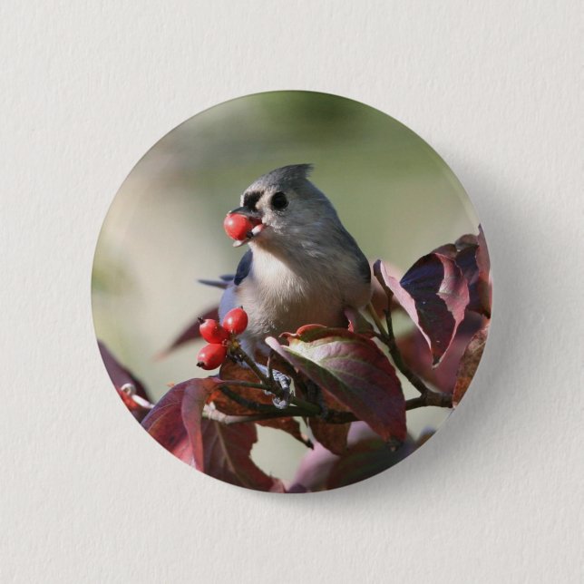 tufted titmouse with berry 2 inch round button (Front)