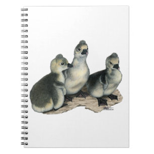 Tufted Toulouse Goslings Notebook