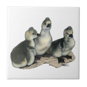 Tufted Toulouse Goslings Tile