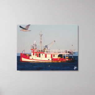 Tug Boat on Mutiny Bay with a bird Canvas Print