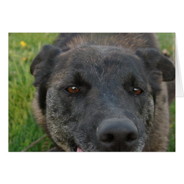 Tug-of-War (Front Horizontal)