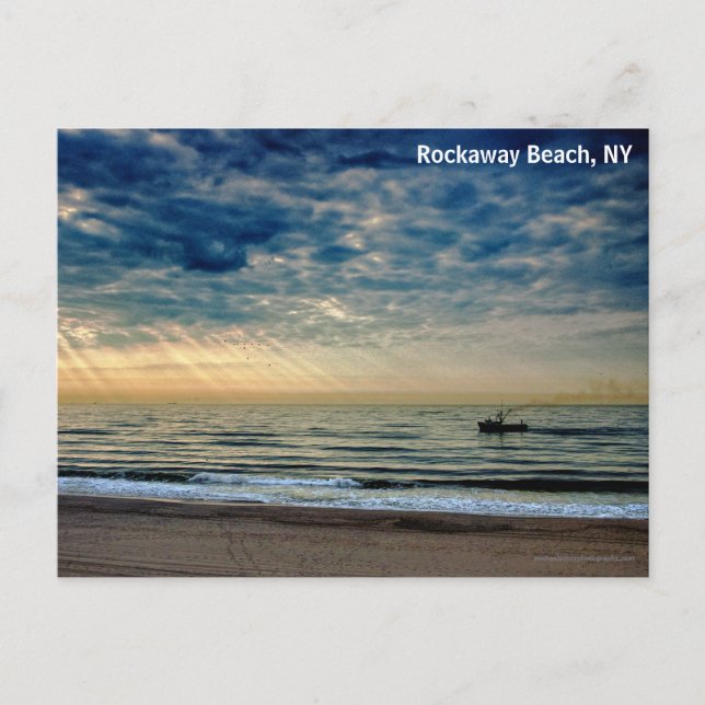 Tugboat and Birds Postcard (Front)