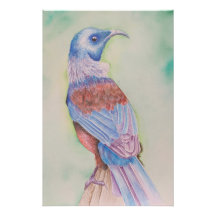 Tui - affiche