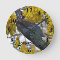 Tui of Aotearoa