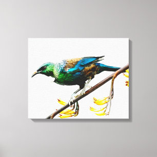 Tui on Yellow Flax original watercolour design Canvas Print