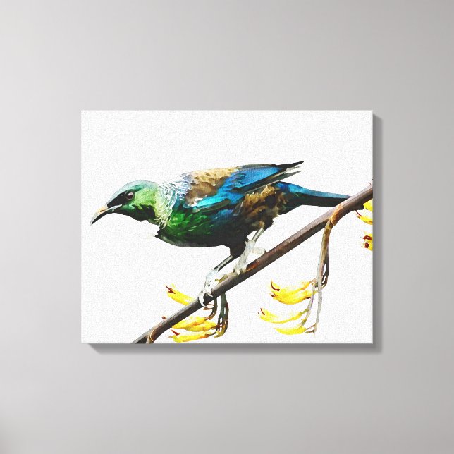Tui on Yellow Flax original watercolour design Canvas Print (Front)