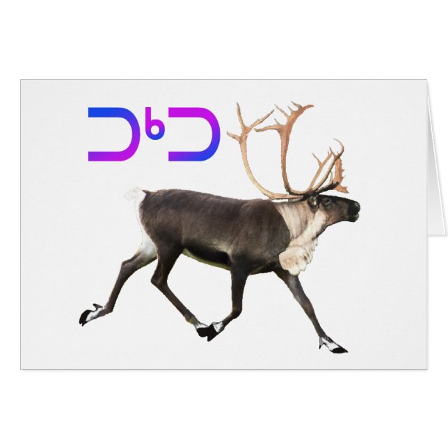 Tuktu - Caribou (Front Horizontal)