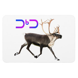 Tuktu - Caribou Magnet