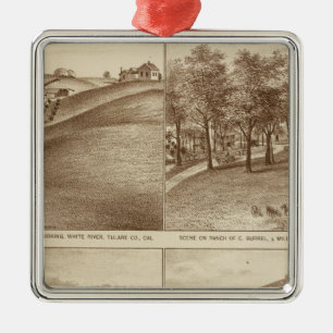 Tulare Co ranches, offices Metal Ornament