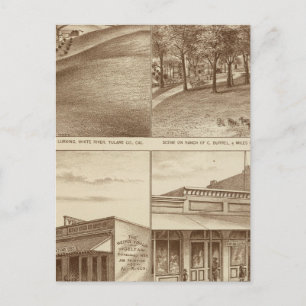 Tulare Co ranches, offices Postcard