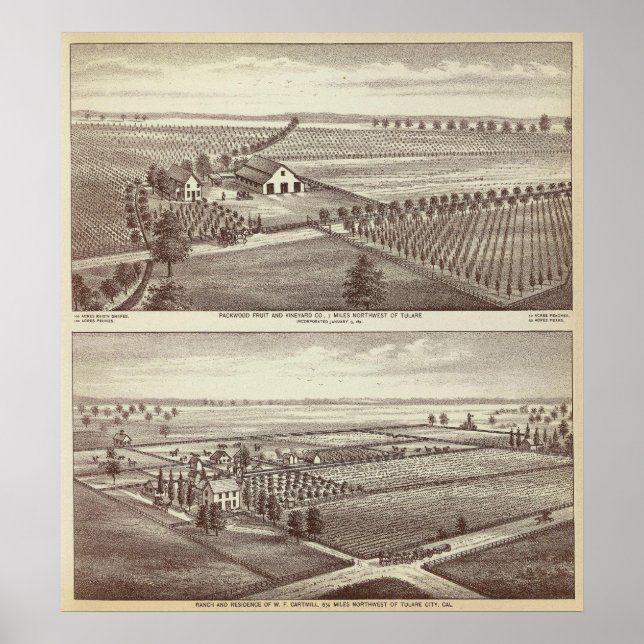 Tulare farms poster (Front)