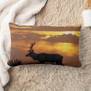 Tule Elk Point Reyes National Seashore Lumbar Pillow