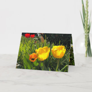 Tulières de carte de fleurs de printemps jaune pâq