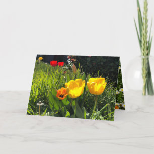 Tulières de carte de fleurs de printemps jaune pâq