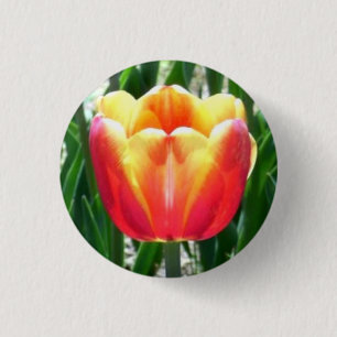 Tulip 1 Inch Round Button