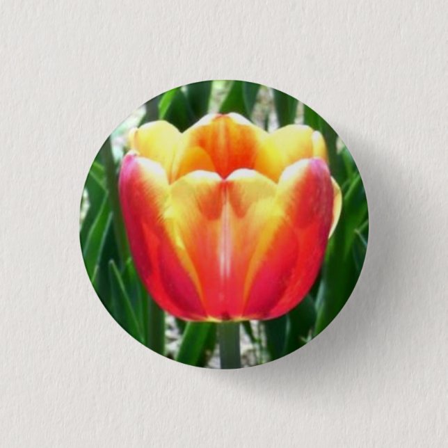 Tulip 1 Inch Round Button (Front)