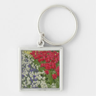 Tulip and daffodil garden, Keukenhof Gardens, Keychain