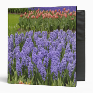 Tulip and Hyacinth garden, Keukenhof Gardens, Binder