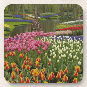 Tulip and hyacinth garden, Keukenhof Gardens, Coaster