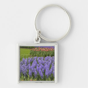 Tulip and Hyacinth garden, Keukenhof Gardens, Keychain