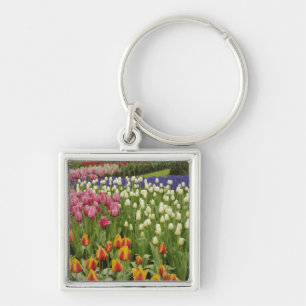 Tulip and hyacinth garden, Keukenhof Gardens, Keychain