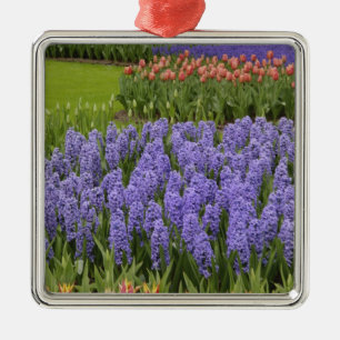 Tulip and Hyacinth garden, Keukenhof Gardens, Metal Ornament