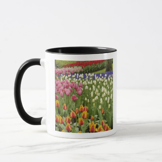 Tulip and hyacinth garden, Keukenhof Gardens, Mug (Left)
