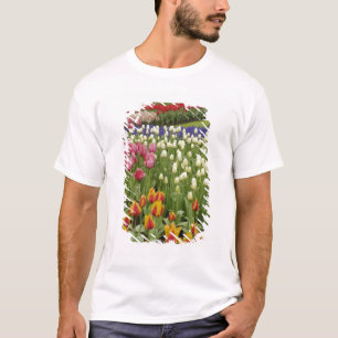 Tulip and hyacinth garden, Keukenhof Gardens, T-Shirt