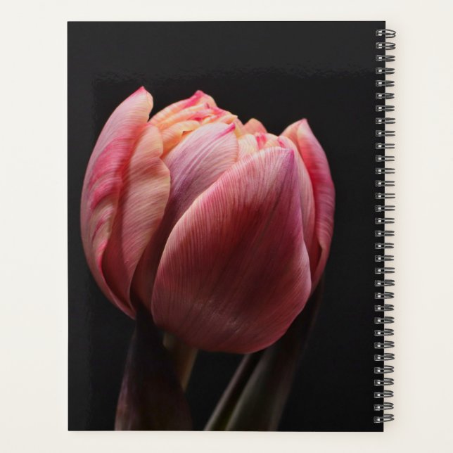 Tulip Beautiful Holland Floral Planner (Back)