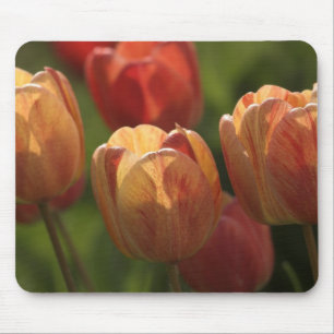 Tulip Blossoms Mouse Pad