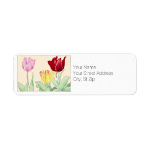 Tulip, Botanicals Return Address Label