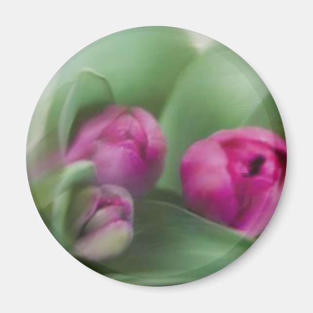 Tulip Bouquet Magnet (Front)