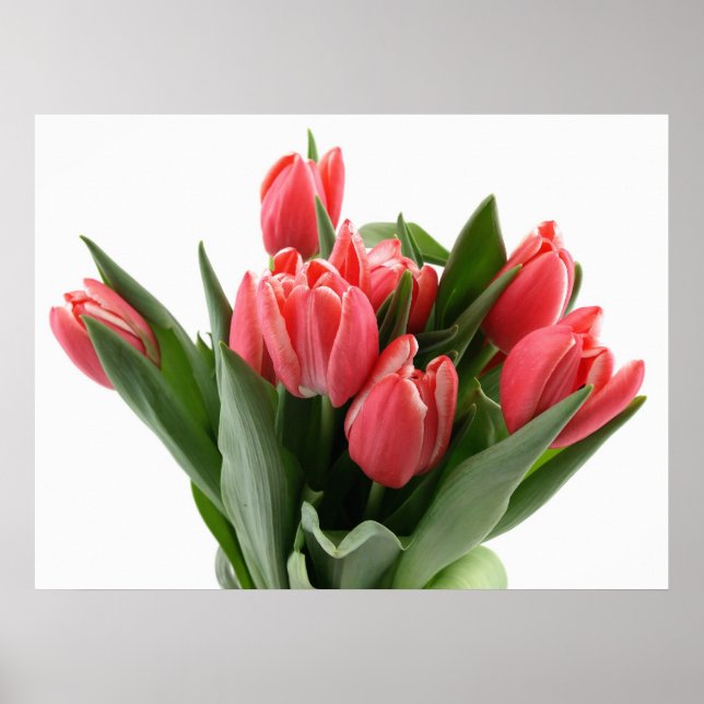 Tulip Bouquet Poster (Front)