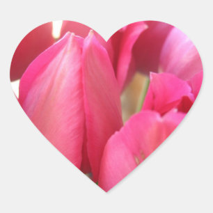 Tulip Bulbs Stickers